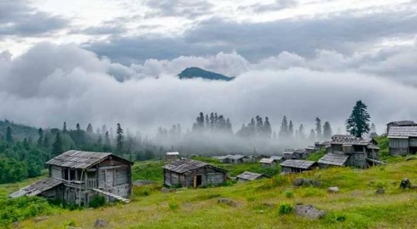 Macahel Şavşat Endemik Turu 4 Gece 5 Gün