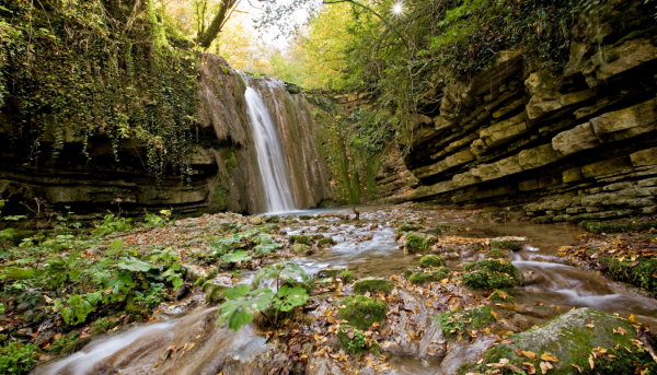 Trabzon Rize Çıkışlı Sinop Samsun Ordu Turu
