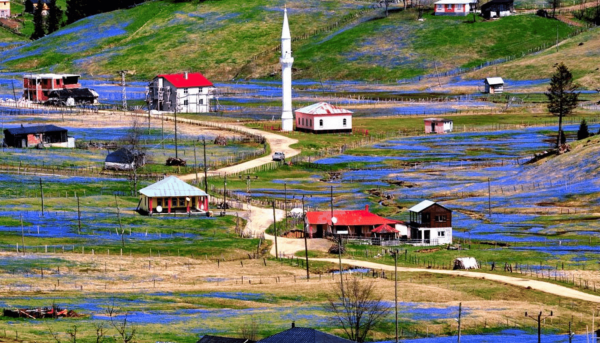 Kadıralak Yaylası Mor Yayla Turu